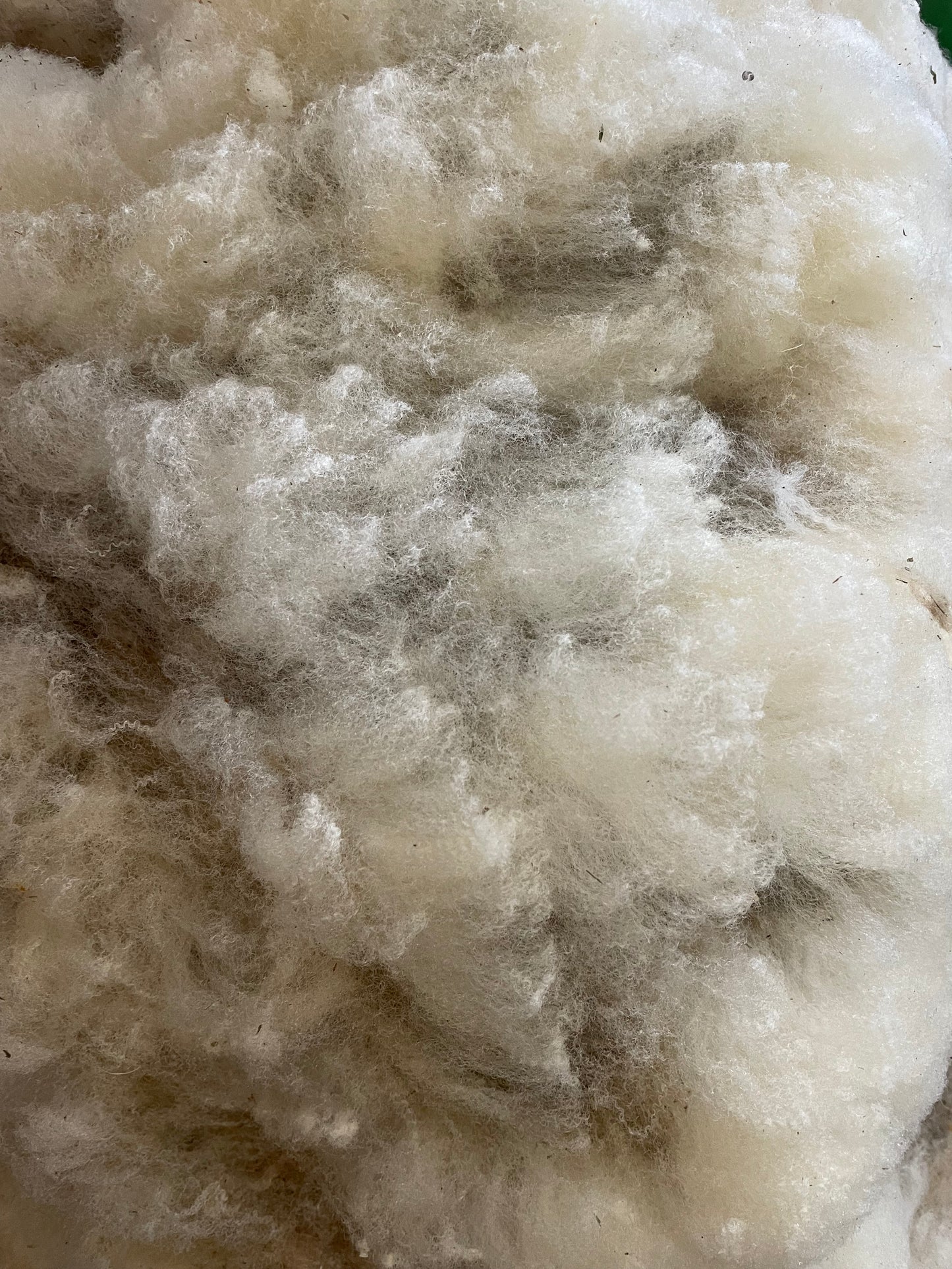 Ile De France Non Processed Fleece